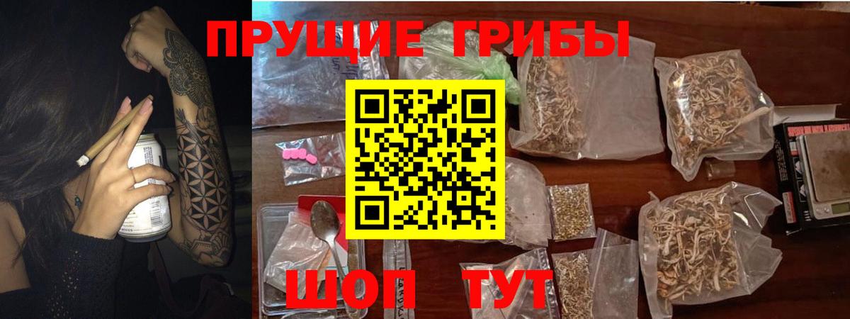 Пугачёв  Галлюциногенные грибы ЛСД  Вход с VPN  Галлюциногенные грибы GOLDEN TEACHER 