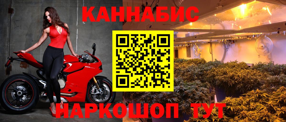 Канабис планчик  Каннабис план  Пугачёв  Вход с VPN  Марихуана White Widow 